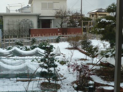 f:id:nekonohanashi:20130220071342j:image