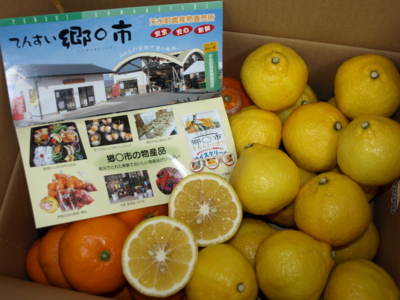 f:id:nekonohanashi:20130226130134j:image