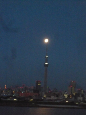 f:id:nekonohanashi:20130427042958j:image