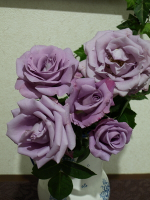 f:id:nekonohanashi:20130512210906j:image