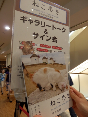 f:id:nekonohanashi:20130605142642j:image