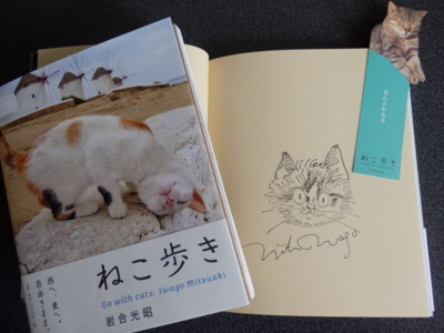 f:id:nekonohanashi:20130605180147j:image