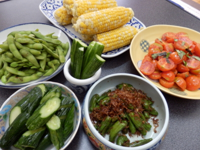f:id:nekonohanashi:20130717100742j:image