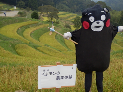 f:id:nekonohanashi:20130823162822j:image