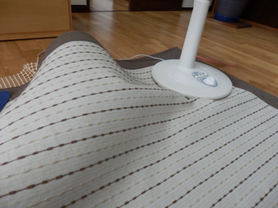 f:id:nekonohanashi:20130825161726j:image