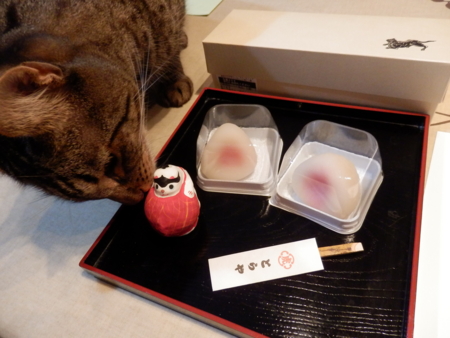 f:id:nekonohanashi:20131024205143j:image