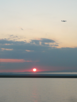 f:id:nekonohanashi:20131207162030j:image
