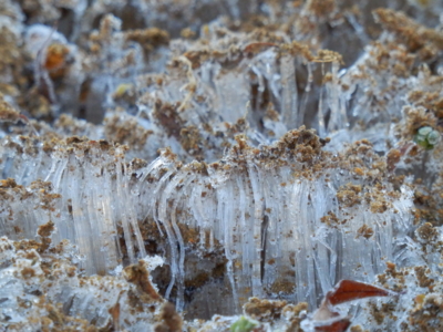 f:id:nekonohanashi:20131229082923j:image