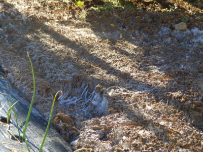f:id:nekonohanashi:20131229083251j:image