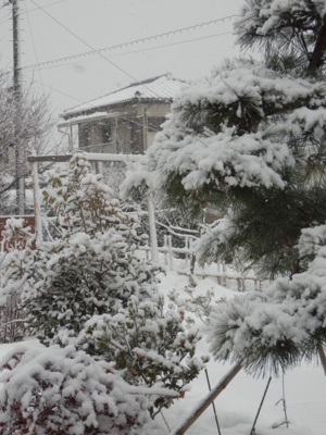 f:id:nekonohanashi:20140211083111j:image