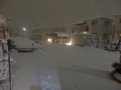 f:id:nekonohanashi:20140214205048j:image