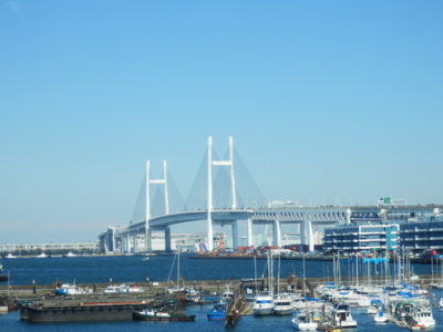 f:id:nekonohanashi:20140306133446j:image