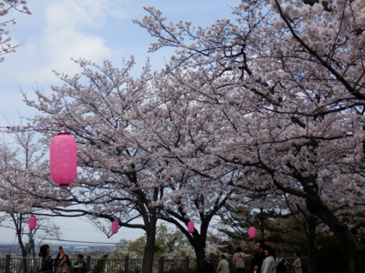 f:id:nekonohanashi:20140402115734j:image