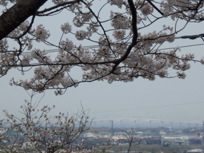 f:id:nekonohanashi:20140402120013j:image
