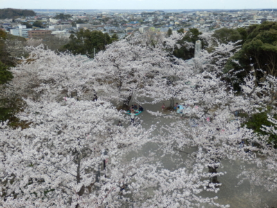 f:id:nekonohanashi:20140402122802j:image