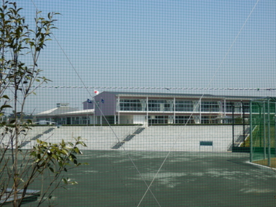 f:id:nekonohanashi:20140408112352j:image