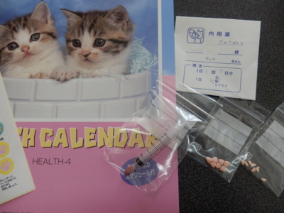 f:id:nekonohanashi:20140420123525j:image