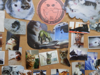 f:id:nekonohanashi:20140429144458j:image