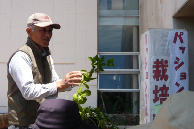 f:id:nekonohanashi:20140517105207j:image