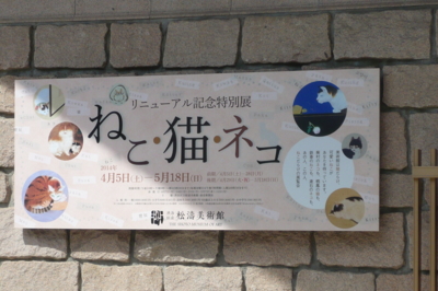 f:id:nekonohanashi:20140518140943j:image