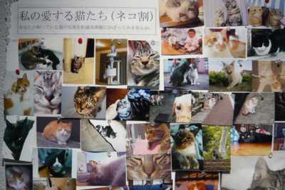 f:id:nekonohanashi:20140518145936j:image