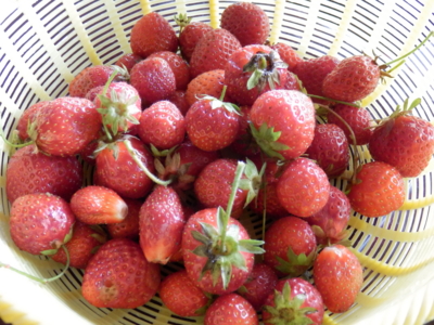 f:id:nekonohanashi:20140629105803j:image