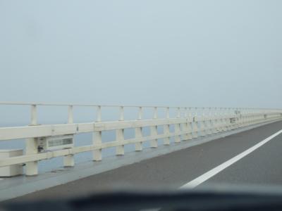 f:id:nekonohanashi:20140724074304j:image