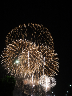 f:id:nekonohanashi:20140805195320j:image