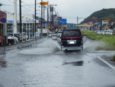 f:id:nekonohanashi:20140811085810p:image