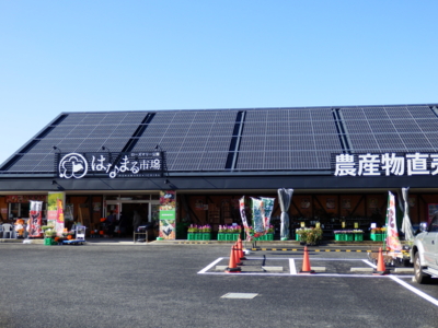 f:id:nekonohanashi:20150123114632j:image