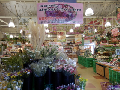 f:id:nekonohanashi:20150123114738j:image