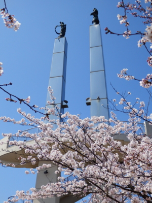 f:id:nekonohanashi:20150331104228j:image