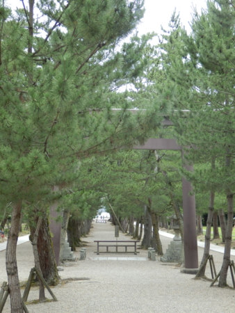f:id:nekonohanashi:20150713110359j:image