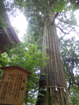 f:id:nekonohanashi:20150713144338j:image