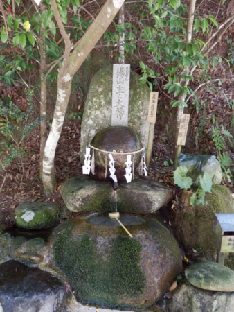 f:id:nekonohanashi:20150714104025j:image