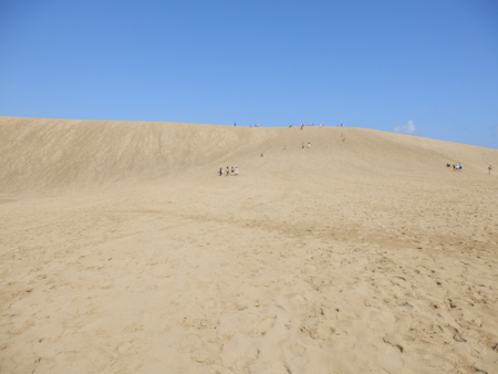 f:id:nekonohanashi:20150818092147j:image