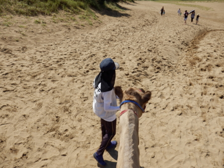 f:id:nekonohanashi:20150818101035j:image