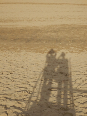 f:id:nekonohanashi:20150819072201j:image