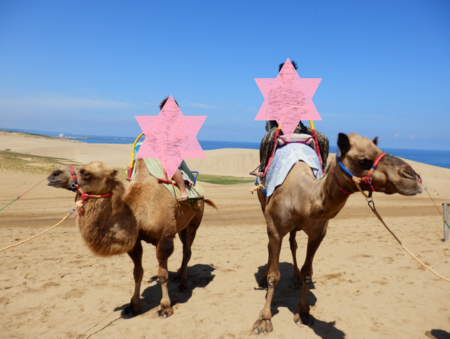 f:id:nekonohanashi:20150821151918p:image