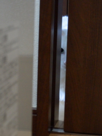 f:id:nekonohanashi:20151227075806j:image