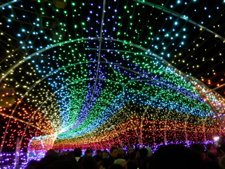 f:id:nekonohanashi:20151230174834j:image