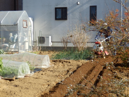 f:id:nekonohanashi:20160301144201j:image