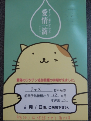 f:id:nekonohanashi:20160519090424j:image