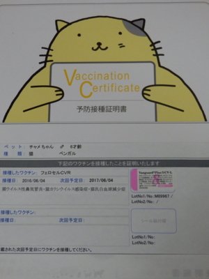 f:id:nekonohanashi:20160604222653j:image