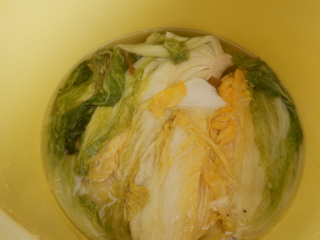 f:id:nekonohanashi:20161225114052j:image