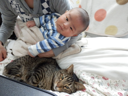 f:id:nekonohanashi:20170108075412j:image