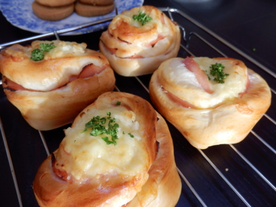 f:id:nekonohanashi:20170121154024j:image