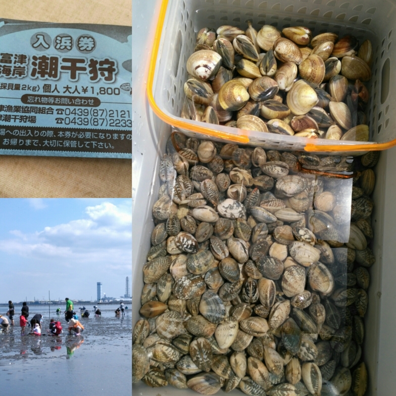 f:id:nekonohanashi:20170503221946j:image