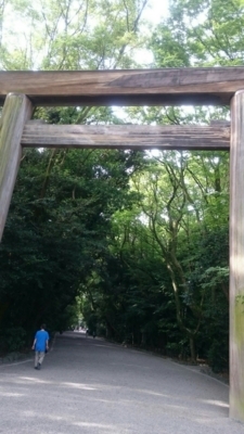 f:id:nekonohanashi:20170713042204j:image