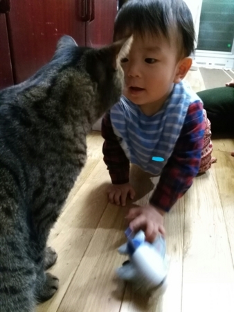 f:id:nekonohanashi:20171202195719j:image